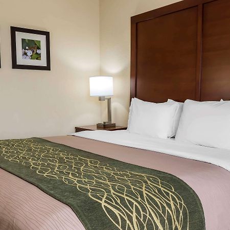 Comfort Inn - Pocono Mountains White Haven Екстериор снимка