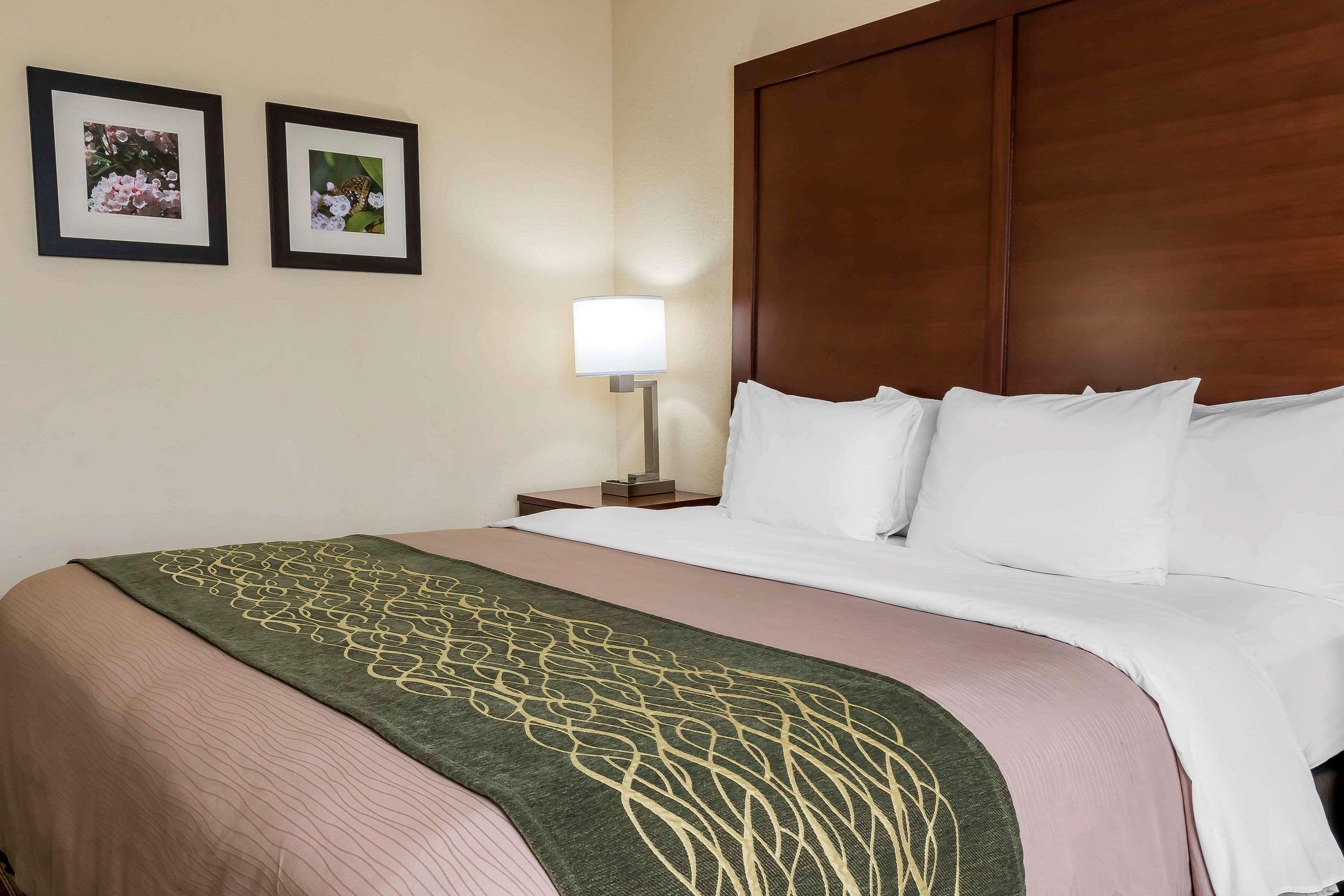 Comfort Inn - Pocono Mountains White Haven Екстериор снимка