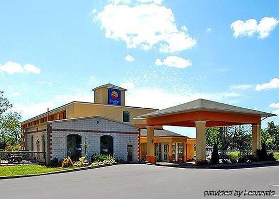 Comfort Inn - Pocono Mountains White Haven Екстериор снимка
