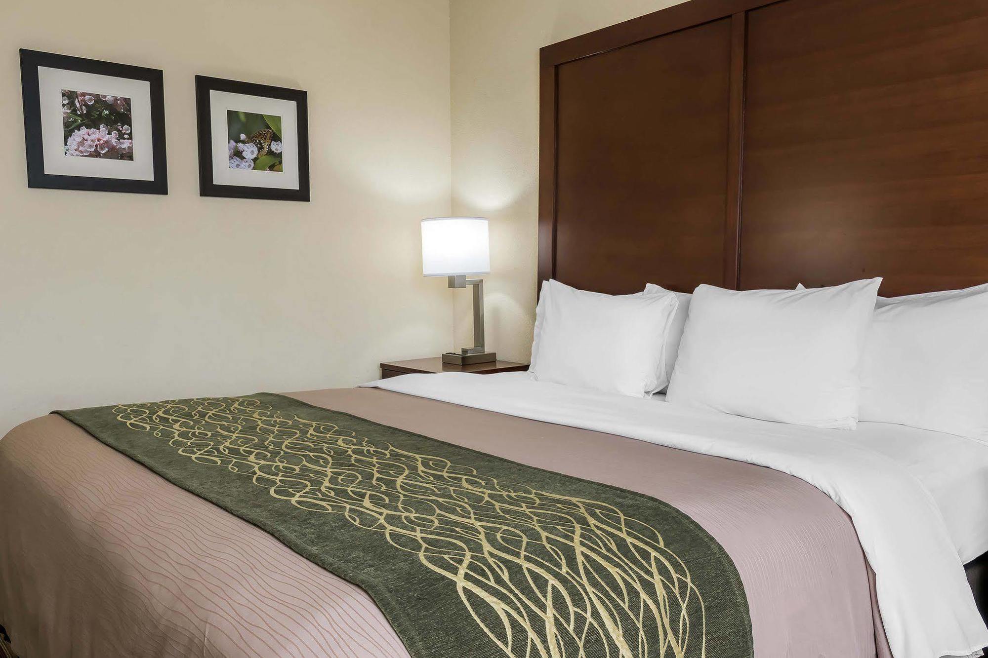 Comfort Inn - Pocono Mountains White Haven Екстериор снимка